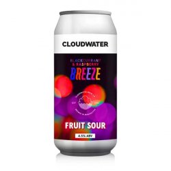 Cloudwater - Blackcurrant & Raspberry Breeze - Fruit Sour - Hopfnung