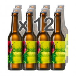 CAIXA x 12 - TECHNO PUNK (AMBER ALE) 33cl.  cervesa-cornelia - Cervesa Cornèlia