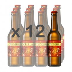 CAIXA x 12 - RUMBA (Pale Ale) 33cl.  cervesa-cornelia - Cervesa Cornèlia