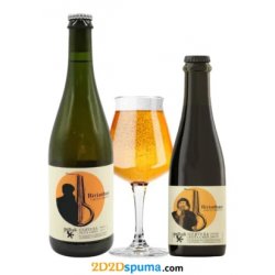 Pintega Birimbao - 2D2Dspuma