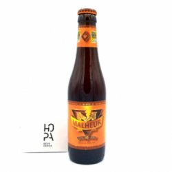 MALHEUR 12 Botella 33cl - Hopa Beer Denda