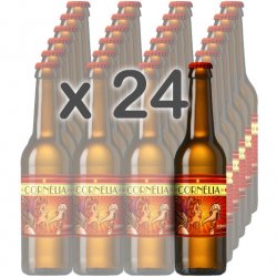 CAIXA x 24 - RUMBA (Pale Ale) 33cl.  cervesa-cornelia - Cervesa Cornèlia