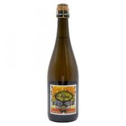 Cidrerie du Vulcain  Cidre De Fer 2018 - The Cat In The Glass