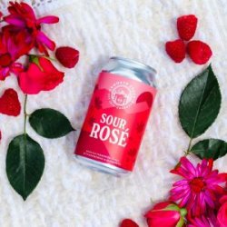 Crooked Stave Sour Rosé 12oz can - Bine & Vine