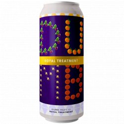 Evil Twin Brewing NYC DUMB FRUIT 12 - ROYAL TREATMENT - 15 YEAR ANNIVERSARY BEER