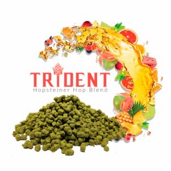 LÚPULO TRIDENT™ (2023) 12% A.A. BOLSA 5 kg (11 lb) - Insumos Cerveceros de Occidente