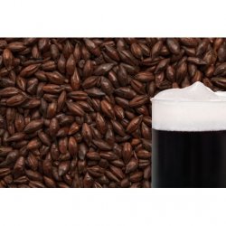 MALTA ROASTED BARLEY BESTMALZ - Insumos Cerveceros de Occidente