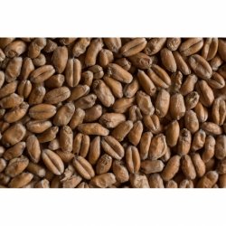 MALTA WHEAT BLANC CASTLE MALTING - Insumos Cerveceros de Occidente