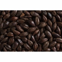 ROASTED BARLEY CASTLE MALTING - Insumos Cerveceros de Occidente