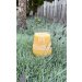 Vault city Lawrence Glas (40cl) 