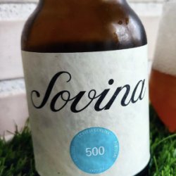 Sovina 500 Hazy IPA - Cerveja Artesanal