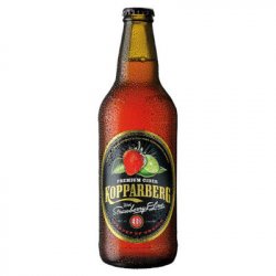 Kopparberg Strawberry & Lime (500ml Bottle) - Castle Off Licence - Nutsaboutwine