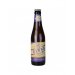 Viven Master IPA 33 cl 