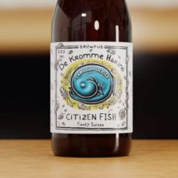 De Kromme Haring Citizen Fish (75cl) - Beer Dudes