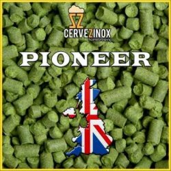 Pioneer (pellet) - Cervezinox