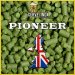 Pioneer (pellet) Pioneer (pellet)
