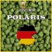Polaris (pellet) Polaris (pellet)