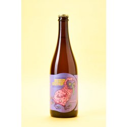 Jester King Bird Bump - Buvance