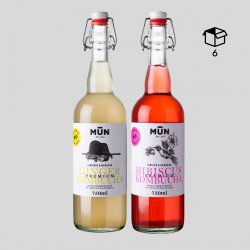 STARTER PACK 750  Ginger-Hibiscus - Mun Ferments