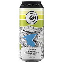 Stewart Project 7 Gooseberry & Elderflower Fizz - Beers of Europe