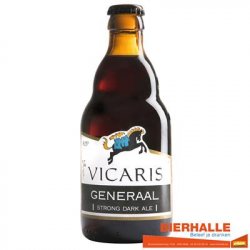 Vicaris Generaal Vicaris Generaal