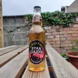 Lilleys  Stargazer  4.5% - The Black Toad