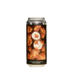 Evil Twin Brewing NYC DO YOU LIKE COCO OR NUT? MAPLE EDITION