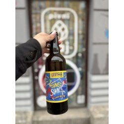 Pivovar Čestmír Summer Ale 10 – Tanec Slunce