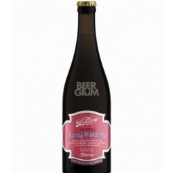 The Bruery Terreux Tripel Berry Hand Pie 75cl - Beergium