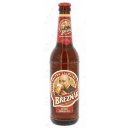 Breznak Pils 5.1% Vol. 20 x 50 cl MW Flasche Tschechien - Pepillo