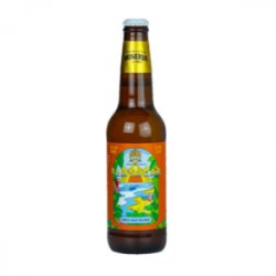 Cerveza Minerva Playacar Bt 355 ML - Vinos América