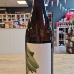 Side Project  Loam Vidal Blanc 2023 - Het Biermeisje