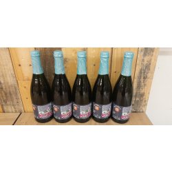 Stille nacht pinot noir set - De Struise Brouwers