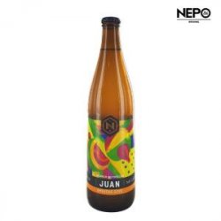 Browar Nepomucen Juan Smoothie Gose 50 Cl. - 1001Birre