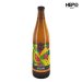 Browar Nepomucen Juan Smoothie Gose 50 Cl. 