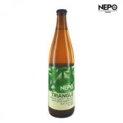 Browar Nepomucen Triangle 50 Cl. - 1001Birre