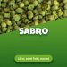 Hop pellets Sabro 1 kg 