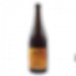 Atrium Reserva Saison Rye  75 cl - Gastro-Beer