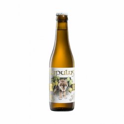 Lupulus Blonde 33 cl - RB-and-Beer