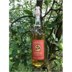 Cydr i Perry Filomelos Filomelos Cydr Spokojny 0,75 L