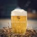 BrayBrooke Stein Pint Glass  700ml 