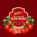 Bruery So Radler Blood Orange 16oz can 