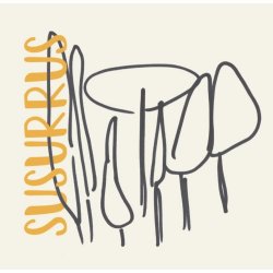 Torn Plant Confelicity