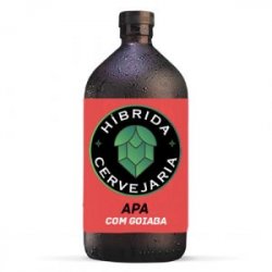 Chopp Hibrida APA com Goiaba - Cerveja Salvador