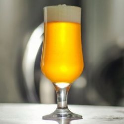 Kit cerveza Brut IPA sin moler  - todo grano 20 L - El Secreto de la Cerveza