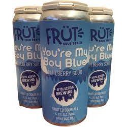 Appalachian You’re My Blue Blue Blueberry Sour 16 pack16 oz cans - Beverages2u