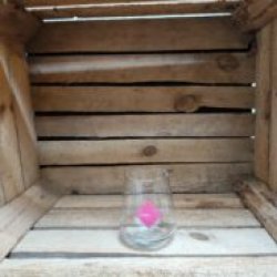 Frau Gruber  Glas - Bierwinkel Alkmaar