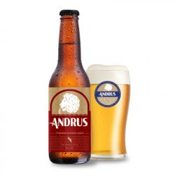 ANDRUS PREMIUM BLONDE 0.33lt - Beer24