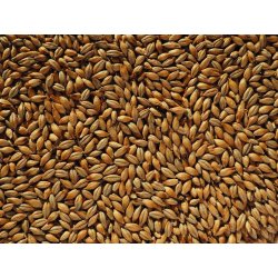 Maris Otter, Crisp 1Kg - BrewCraft