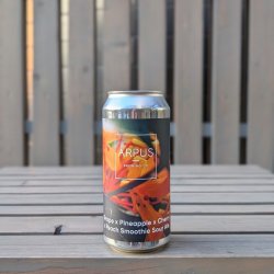 Ārpus Brewing Co. Grape X Pineapple X Cherry X Peach Smoothie Sour Ale